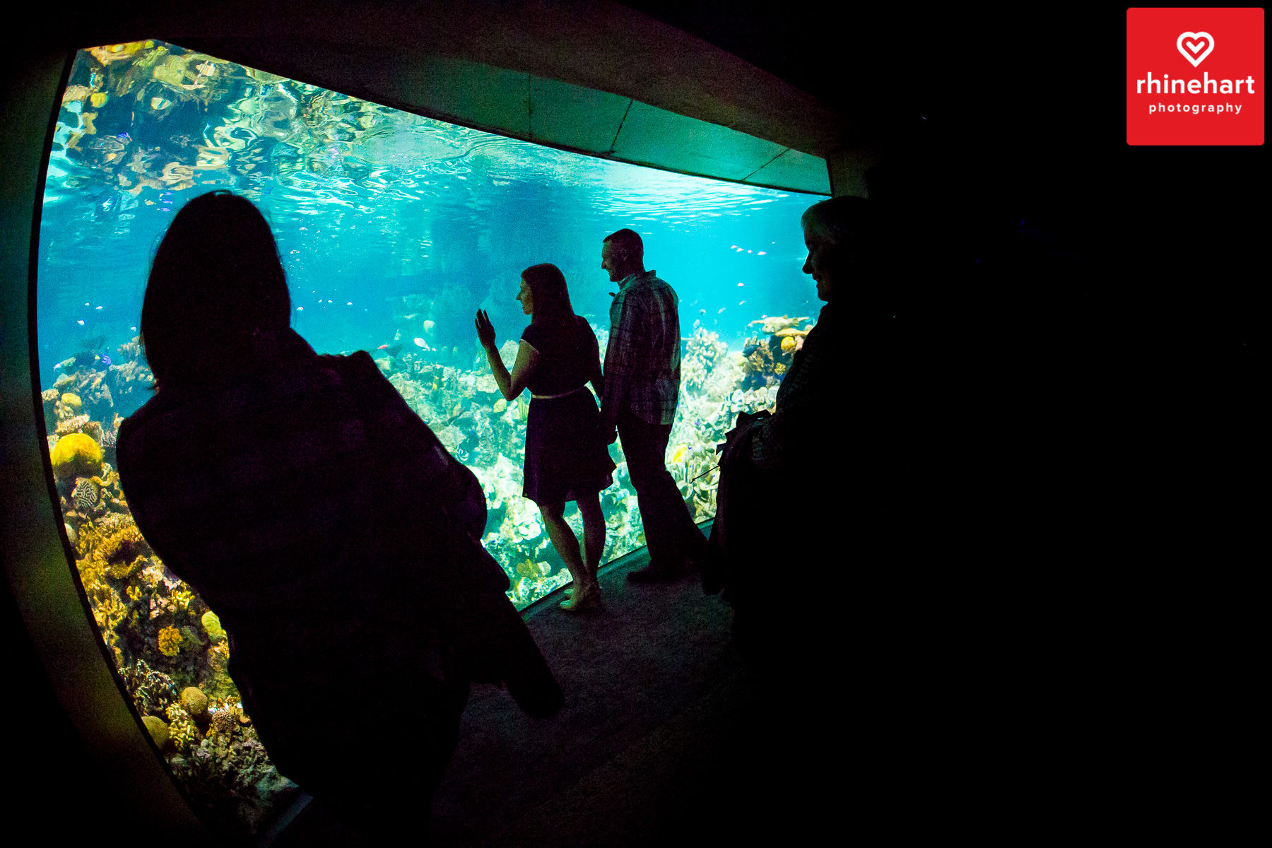 baltimore-aquarium-engagement-photographer-101