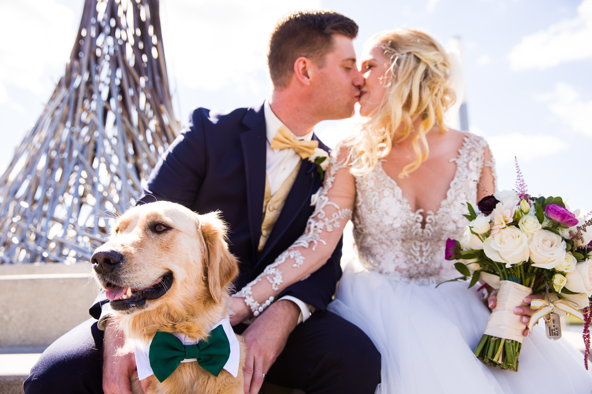 dog ringbearer golden lab wears a tuxedo for this Washington dc wedding