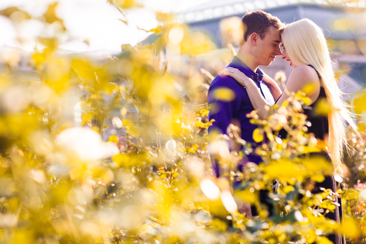 Hershey Gardens Wedding fall Engagement Photo Session with a Magical Artistic feel yellow leaves and a romantic autumn feel 