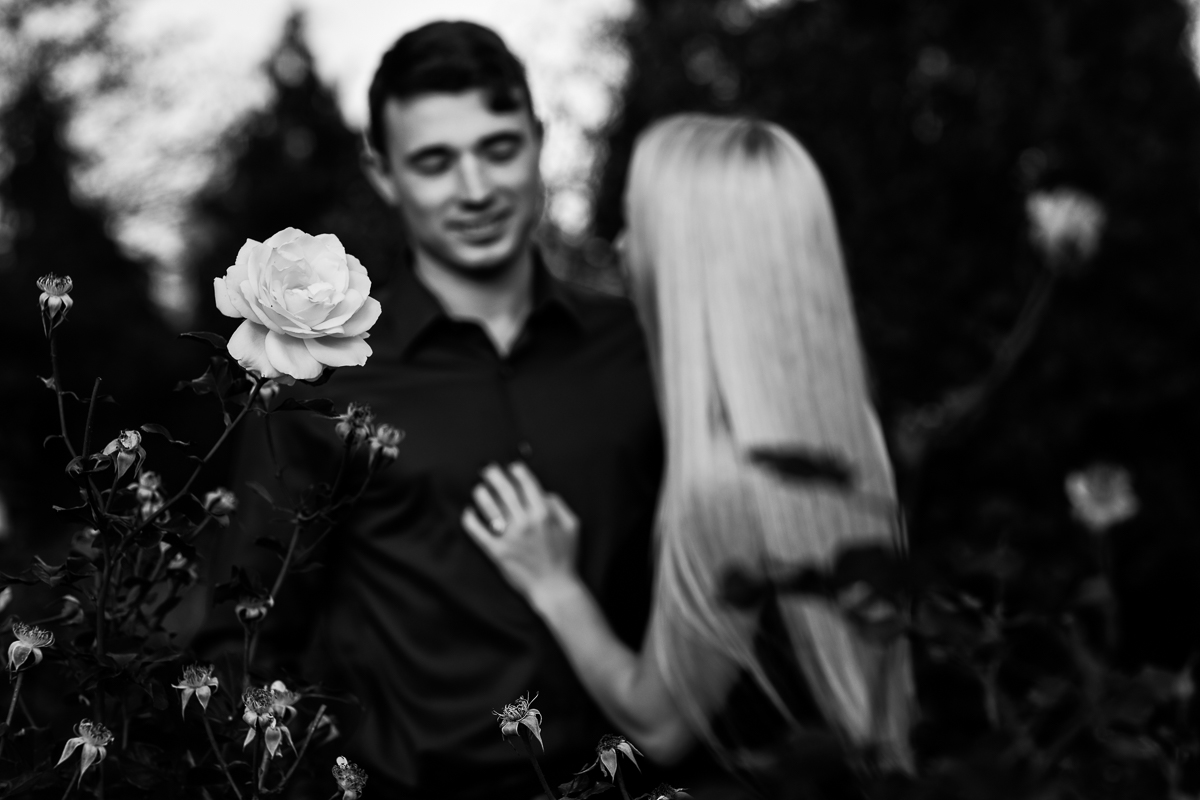 a single rose in a black and white photograph during a romantic hershey gardens engagement session 