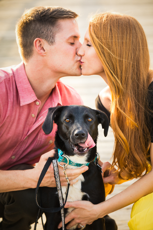 happy dog introduces 12 tips for incorporating your dogs into your engagement photography session to dog engagement session