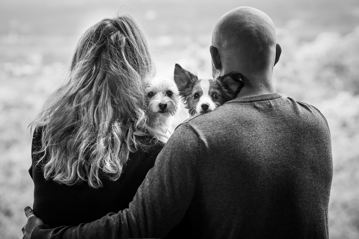 adorable Pennsylvania pups looking cute in black and white with a couple during their Dog Engagement Session