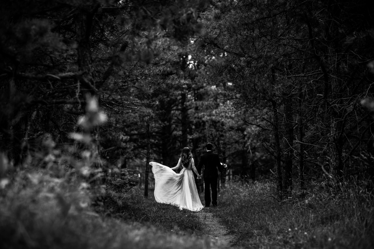 best central PA hiking Appalachian trail wedding photographer black and white photo of bride and groom standing on path in middle of woods holding hands