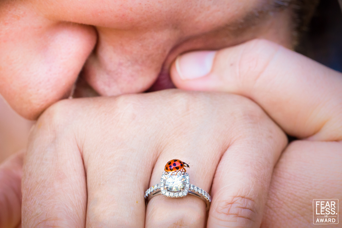 Image of the groom kissing the bride's hand with a bright red ladybug on the bride's ring, best wedding photographers in pa Pennsylvania 