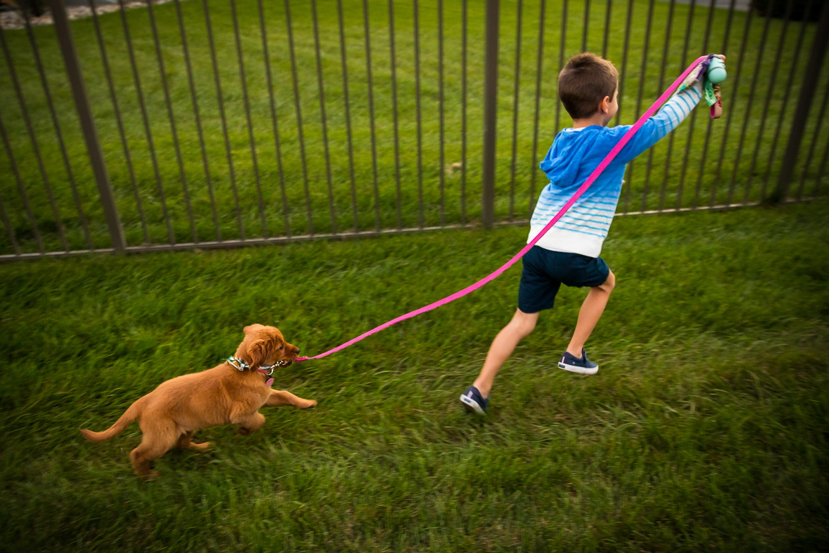 boy running with dog leash in hand dog following behind him central pa family photographer 