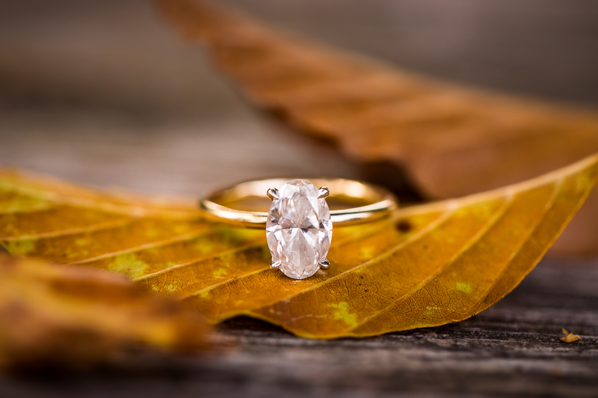 close up of oval diamond engagement ring with gold band on top of fall leaf