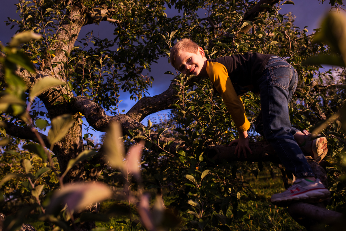 boy climbing apple tree looking back at camera smiling 
