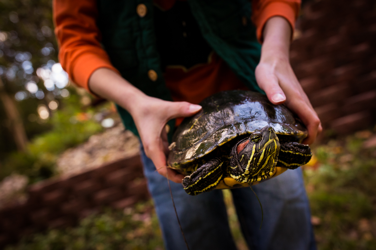 boy holding turtle in hands authentic candid family lifestyle photographer 