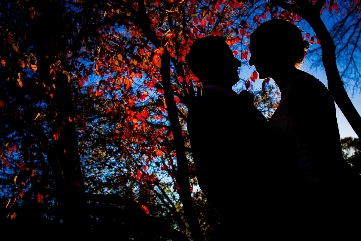 creative artistic unique central pa wedding photographer fall leaves vibrant blue sky couple silhouetted 