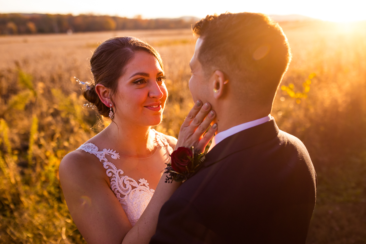 best central pa Linwood estate wedding photographer bride with hand on grooms cheek looking at him in field outside venue during golden hour