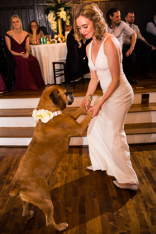 Image of the bride dancing with her dog during their wedding reception