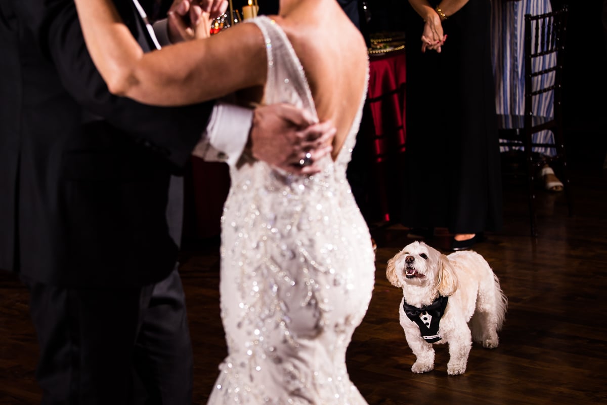 Unqiue image of the bride and groom dancing while their dog is looking up at them while they dance at their Harrisburg civic club wedding reception