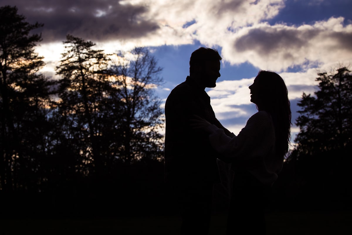 Image taken by engagement photographer, Lisa Rhinehart, of the couple smiling and looking at one another as they and the trees around them are silouetted out and the bright blue cloudy sky is behind them