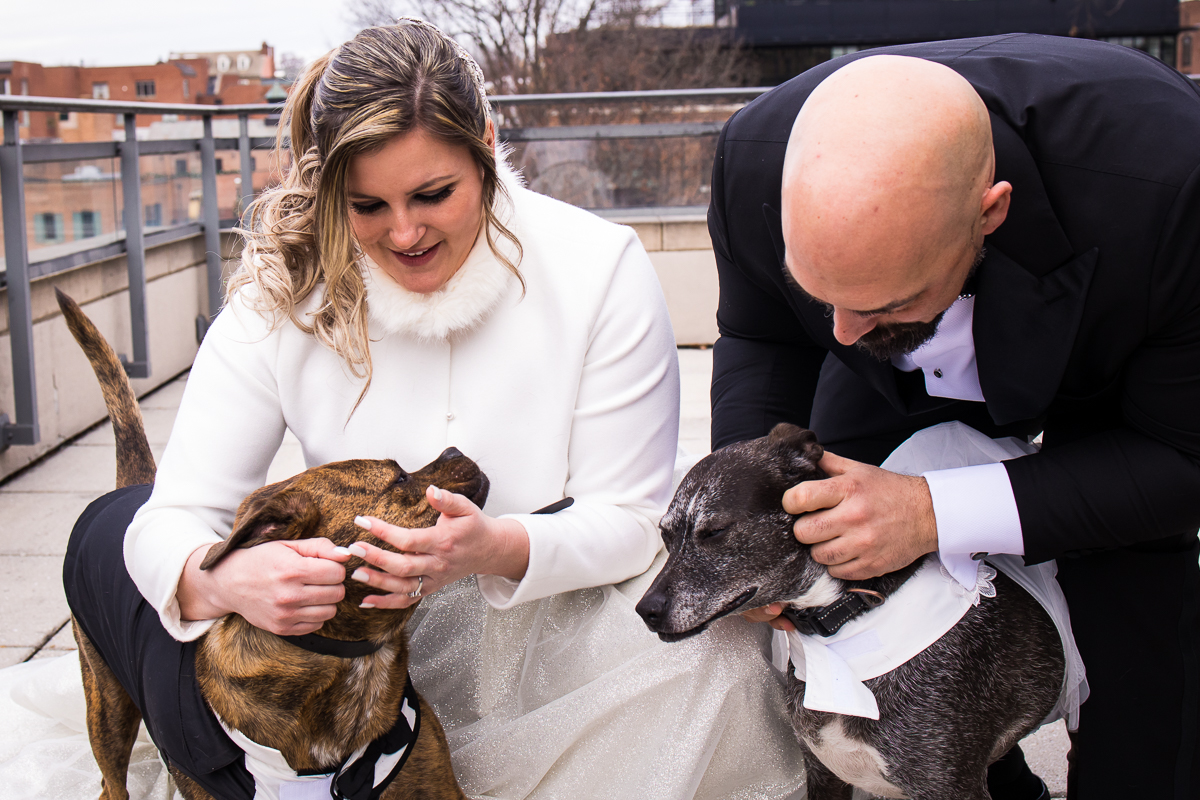 Image of the bride and the groom hugging and petting their dogs before their wedding ceremony in Georgetown 