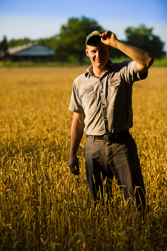 branding photography session of this farmer out in the field with the crops