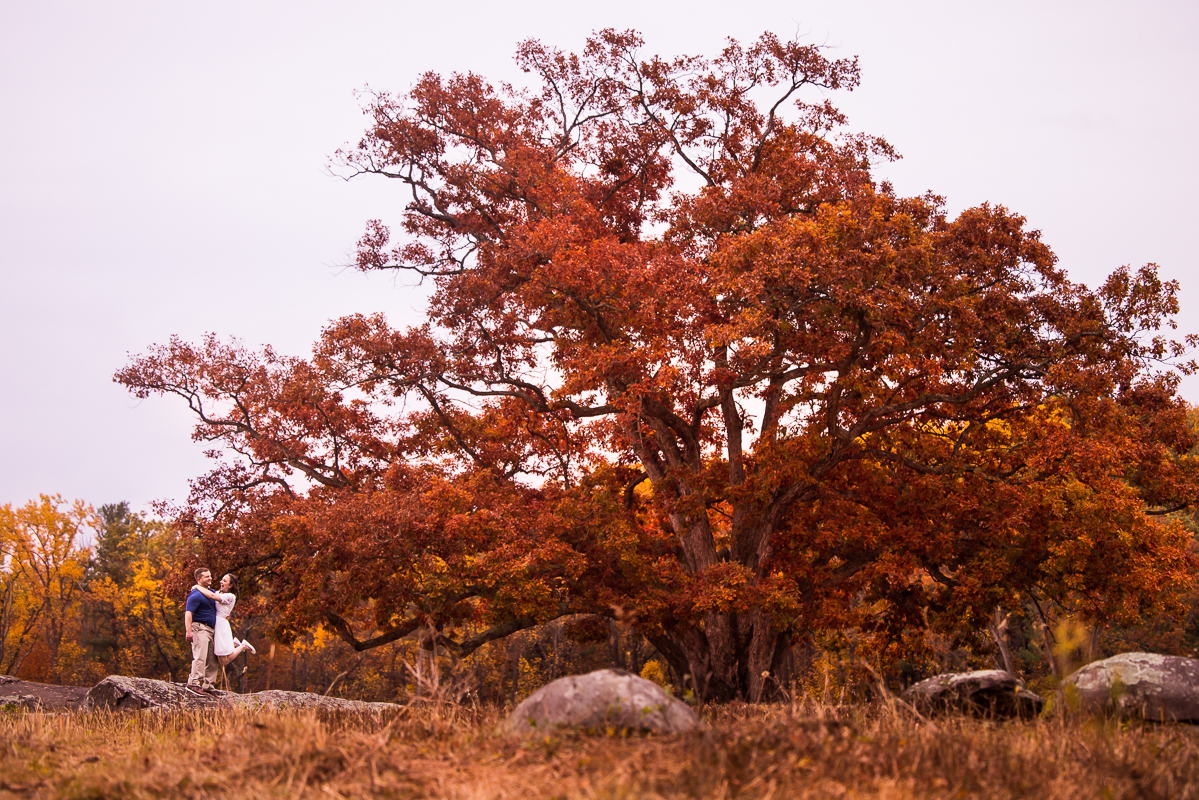 Devil's Den Gettysburg Engagement photographer, rhinehart photography, captured the Vibrant fall foliage on a red oak tree with the couple hugging one another in the bottom corner