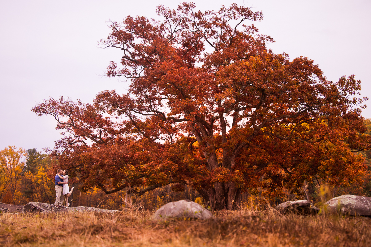 Devil's Den Gettysburg Engagement photographer, lisa rhinehart, captures the Vibrant fall foliage on a red oak tree with the couple hugging one another and kissing in the bottom corner of the frame 