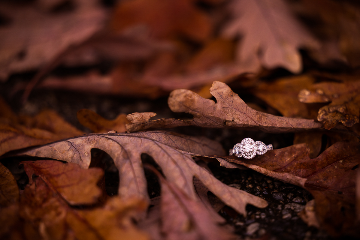 creative, unique image of the shiny ring laying amongst the orange, red, and brown fall leaves that are laying on the ground during their Devil's Den Gettysburg Engagement