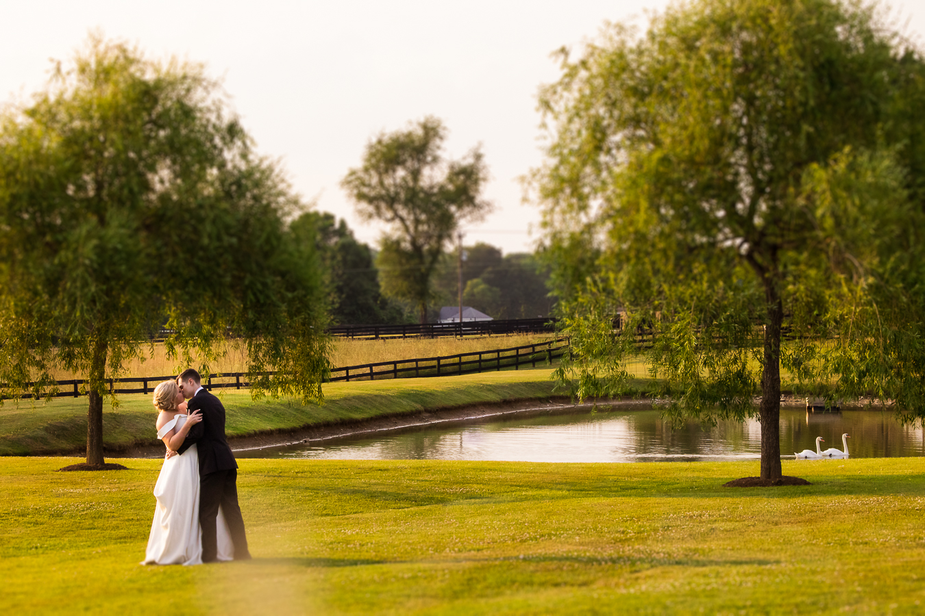 Middleburg Barn Wedding Photographer, rhinehart photography, captures this vibrant, colorful image of the bride and groom as they embrace each other and kiss one another in the field and in front of a pond with the swans