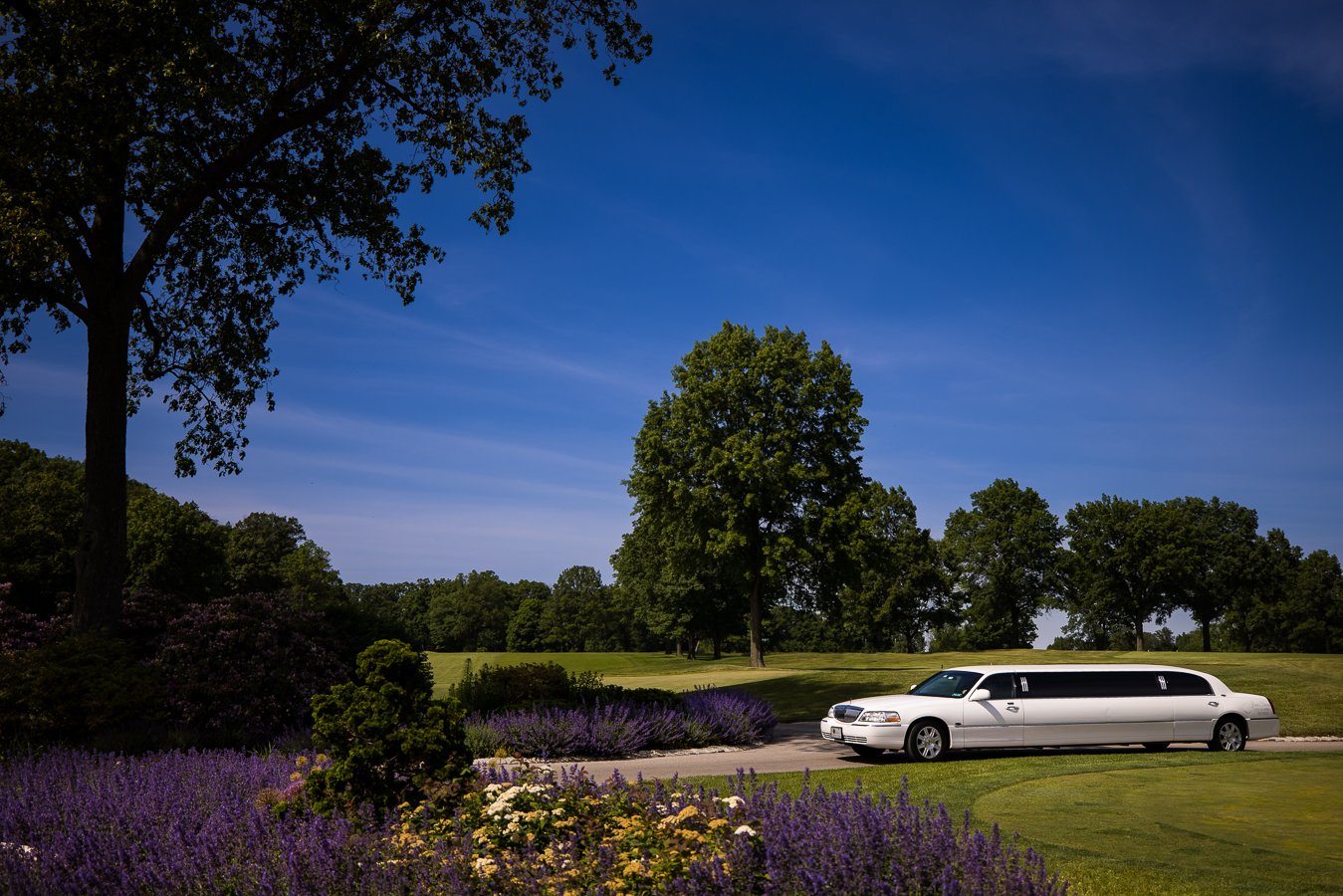 pa wedding photographer, Lisa rhinehart, captures this colorful image of the country club's landscape and the white limo as it pulls up to the venue