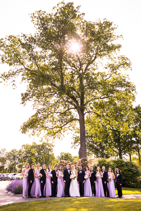 pa wedding photographer, lisa rhinehart, captures this traditional wedding party image with everyone in line standing infront of a giant tree with the sun shining through