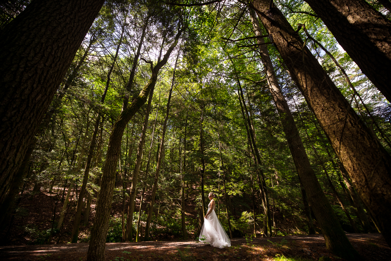 pa wedding photographer, lisa rhinehart, captures this unique, creative image of the bride showing off her dress as she is standing amongst the trees before her wedding ceremony
