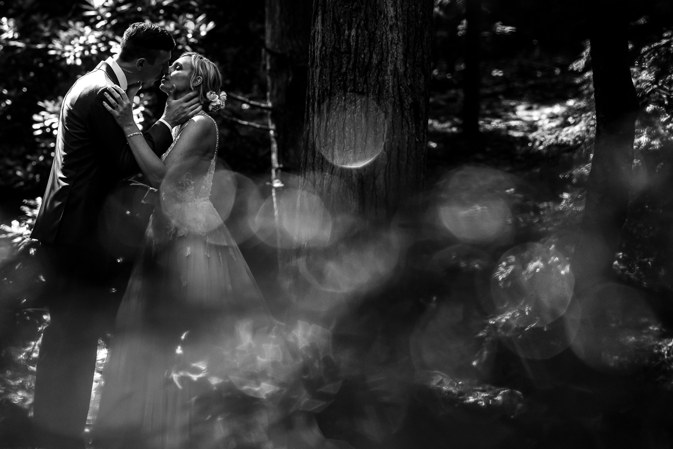 creative wedding photographer, lisa rhinehart, captures this black and white image of the bride and groom kissing one another underneath the trees on the hiking trail in pa 