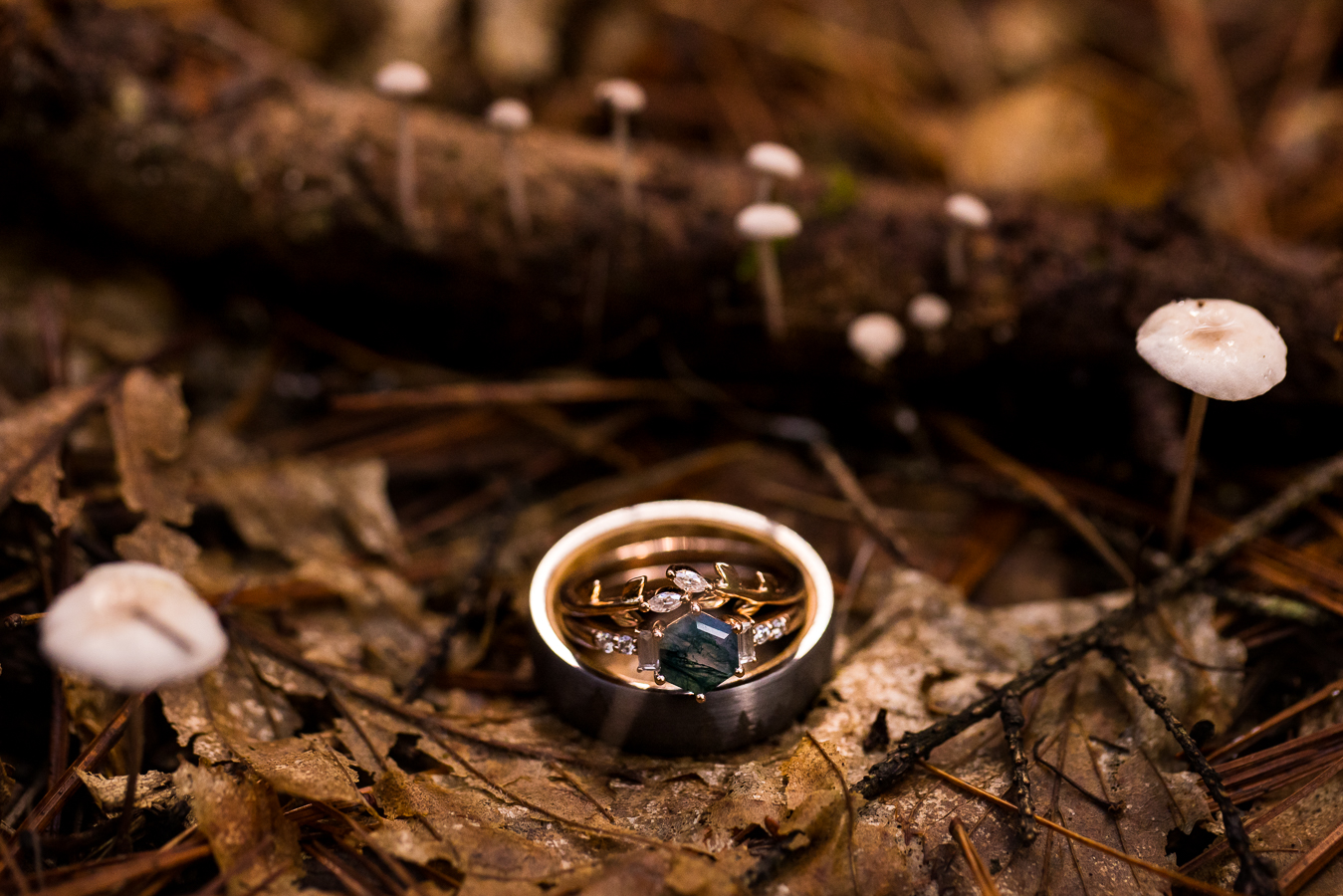 pa wedding photographer, lisa rhinehart, captures this detail image of the bride and grooms rings laying ontop of each other on a pile of leaves found on the trail 
