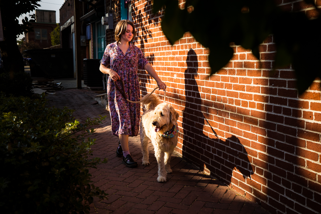 image of this senior walking her dog down the sidewalk as the sun sets and captures their shadows on the wall