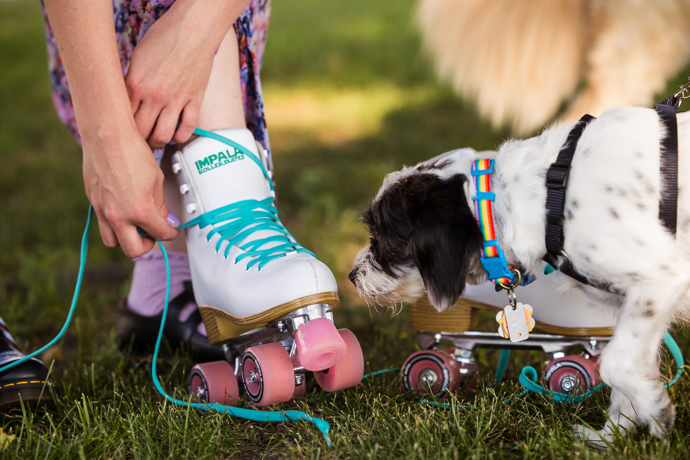 vibrant image of this fun portrait session as this senior laces up her colorful rollerskates with her dogs