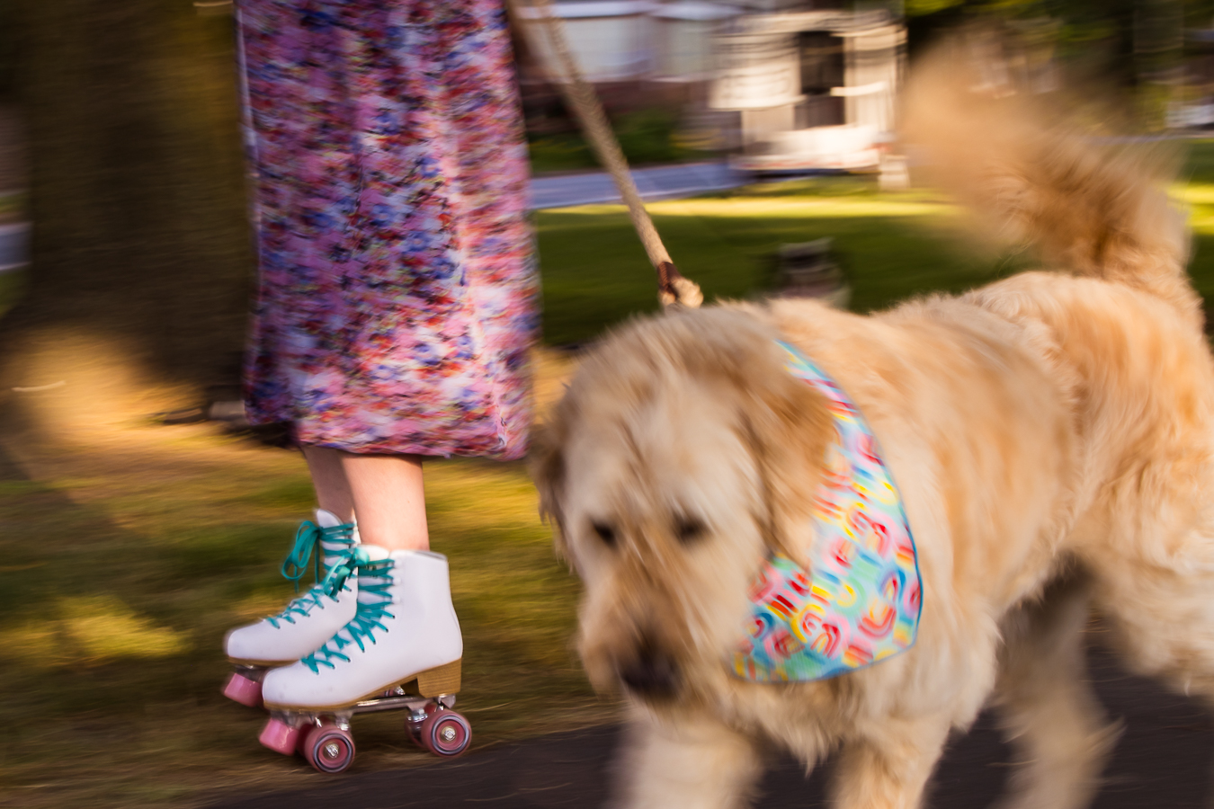 motion blur image of this creative senior as she skates with her dog down the road during this Creative Harrisburg Photography session