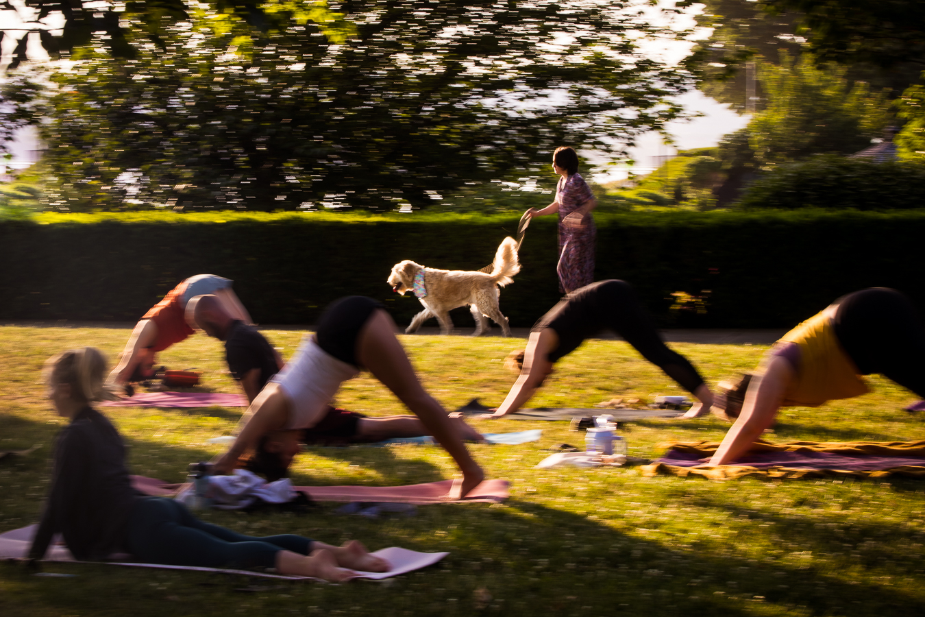 fun image of this senior as she skates away with her dog in the middle of an outdoor yoga class during this Creative Harrisburg Photography session