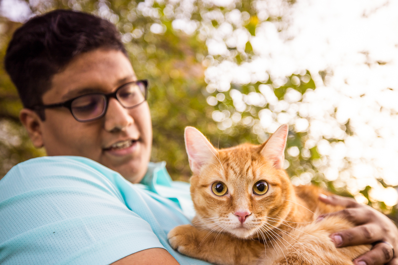 animal family portrait photographer, lisa rhinehart, captures this image of the groom as he holds the couples orange cat for a family photo 