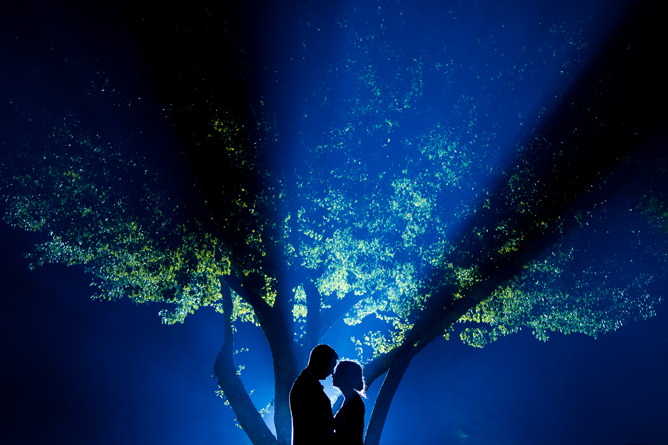 creative nj wedding photographer, lisa rhinehart, captures this unique, creative silhouette image of the bride and groom as they put their heads together while standing in front of the back lit tree for an end of the night shot of this black and gold wedding reception at the palace at somerset park 