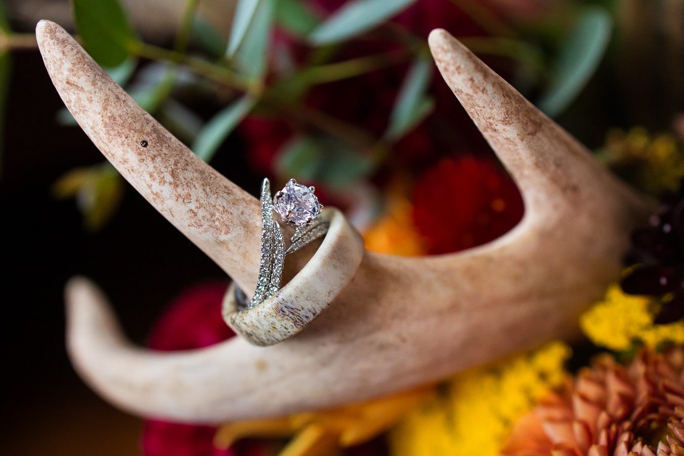 country wedding inspo, detail photos of the wedding rings as they are sitting on the deer antler surrounded by vibrant fall flowers during this outdoor barn country wedding 