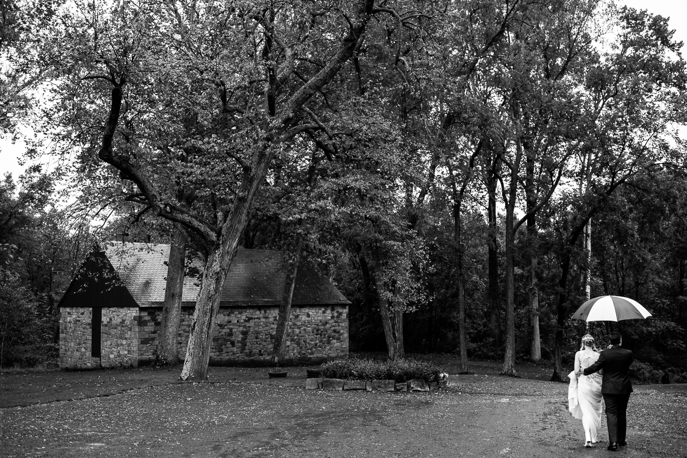 black and white image of the bride and groom as they walk hand in hand underneath the umbrella trying to avoid their rainy wedding day weather at their Elizabeth Furnace Wedding first look