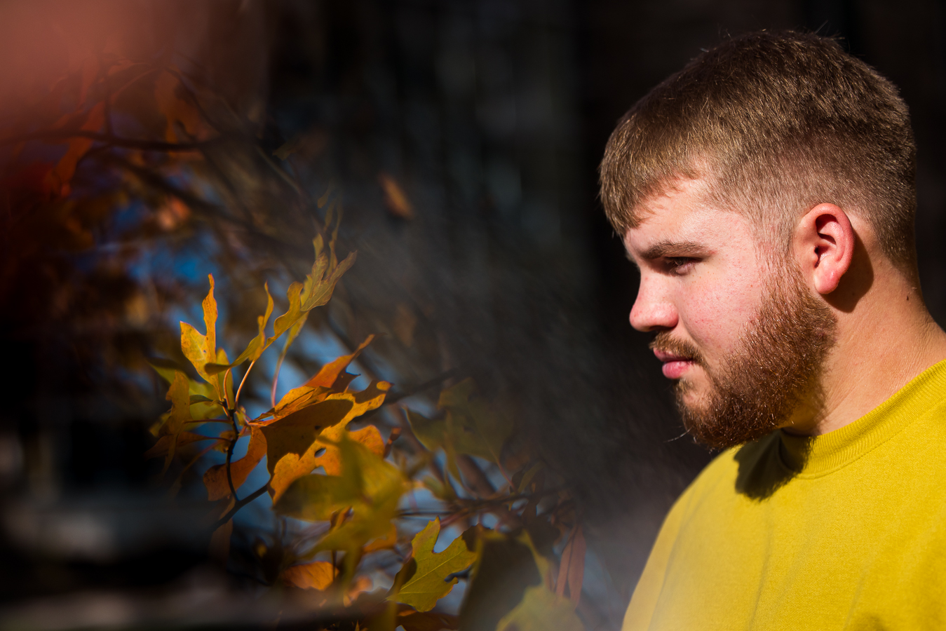 creative, unique image of this senior as he looks at the colorful, vibrant fall leaves during this creative, unique portrait session in northern york pa 