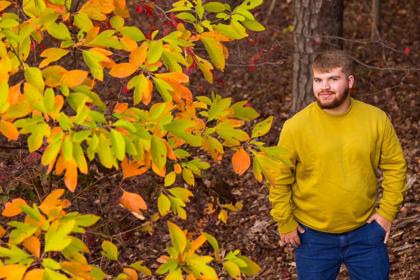 vibrant, colorful image of this northern senior as he stands in nature at kings gap in central pa surrounded by vibrant fall foliage captured by central pa portrait photographer, lisa rhinehart 