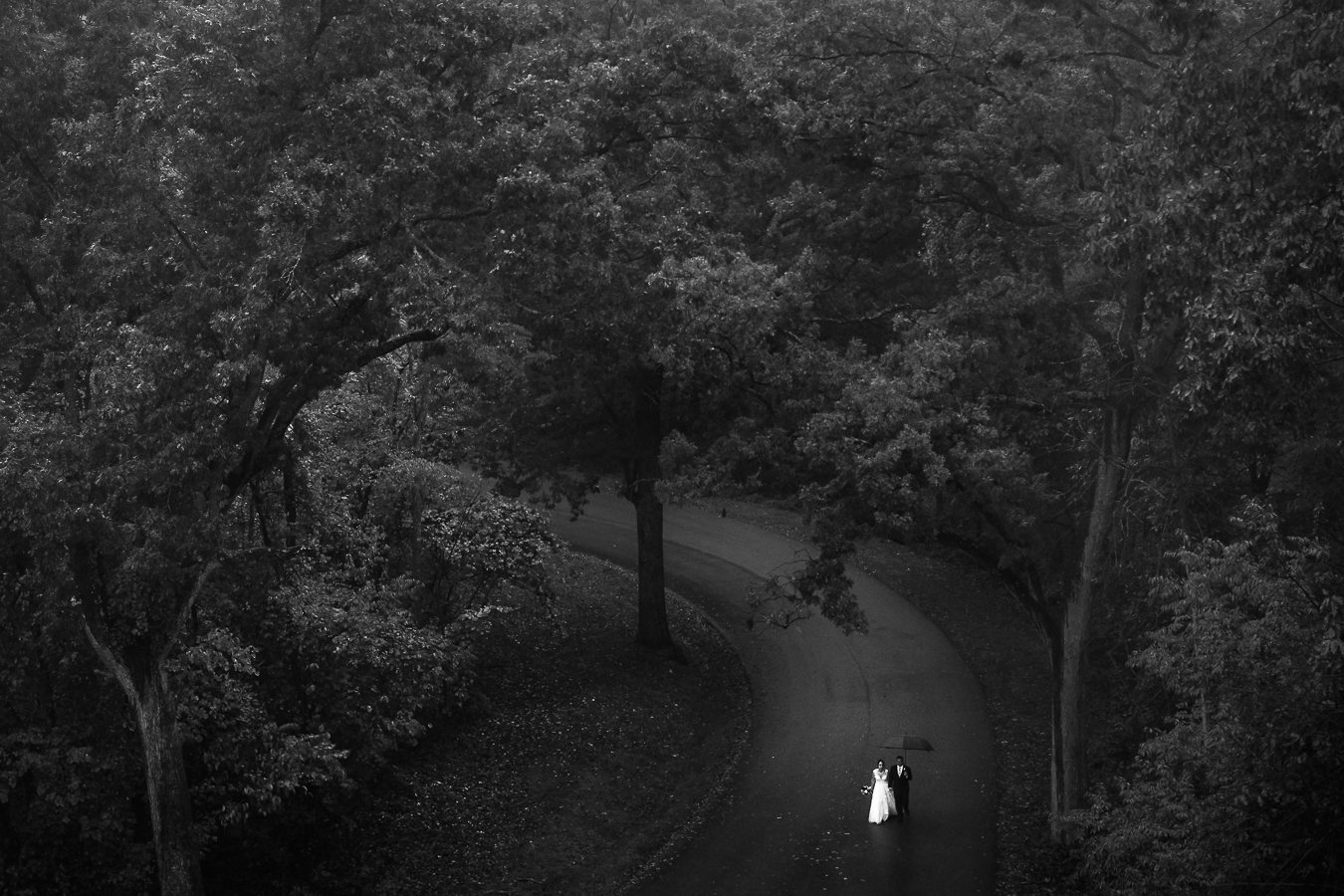 Gettysburg Wedding Photographer, lisa rhinehart, captures this black and white aerial image of the bride and groom as they walk down the pathway between the trees at the Gettysburg battlefields in pa during their rainy day wedding ceremony 