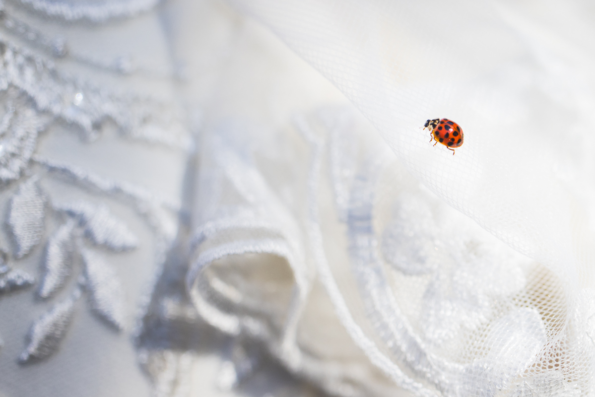 close up image of a red ladybug captured on the brides wedding dress in Leesburg virginia 